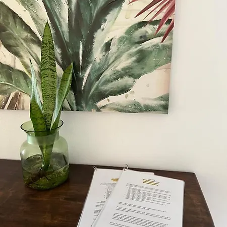 Daire Delfines 61 Corralejo