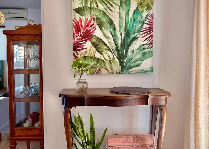 Delfines 61 Corralejo