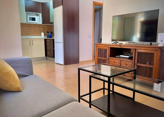 Delfines 61 Appartement